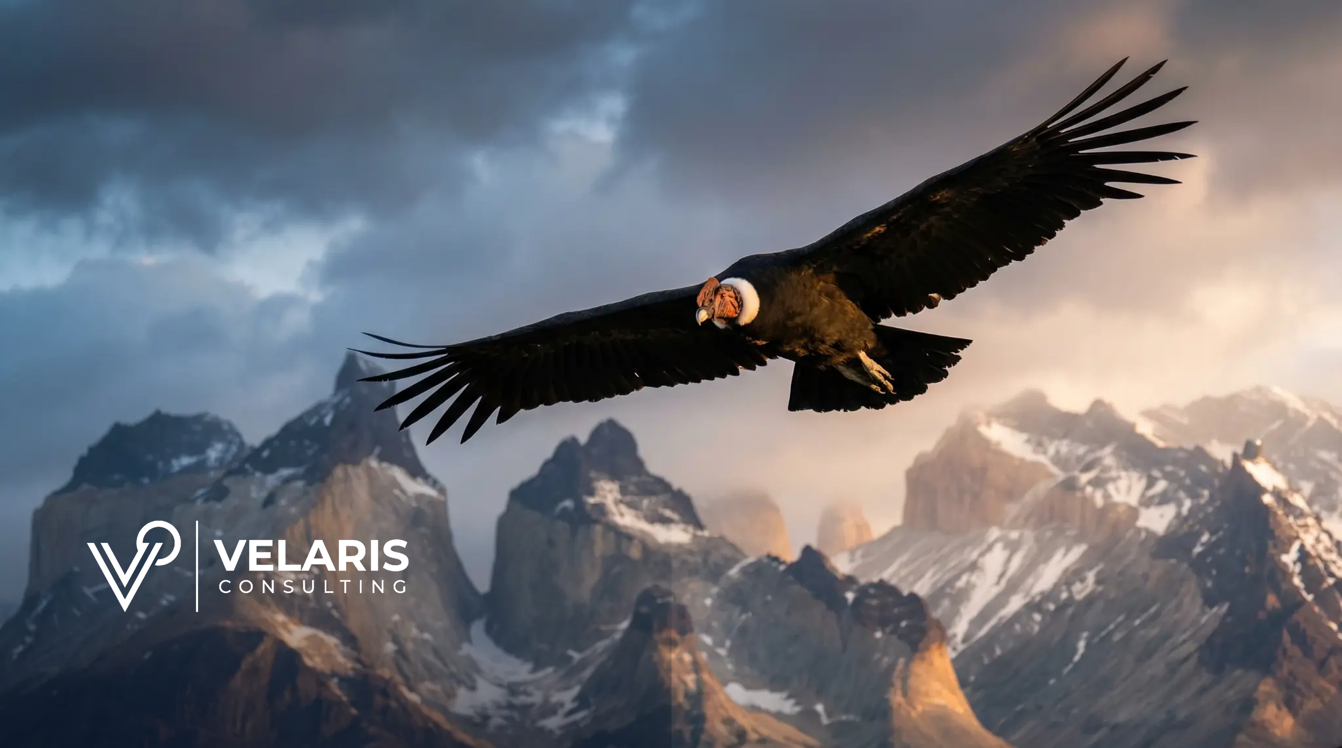 Velaris Consulting